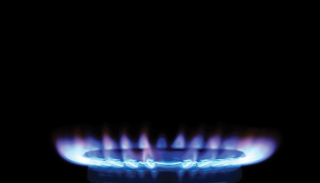 Don’t Invite Us to Dinner