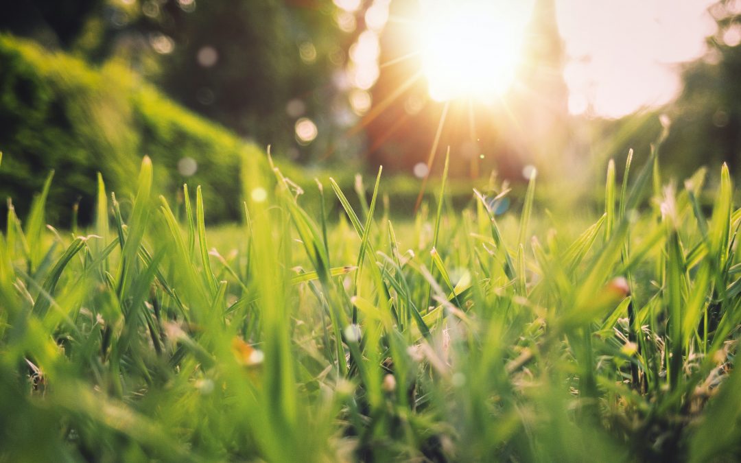 Your Spring Home Checklist