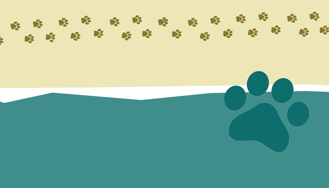 Health & Safety Reminders from the Beaver Borough