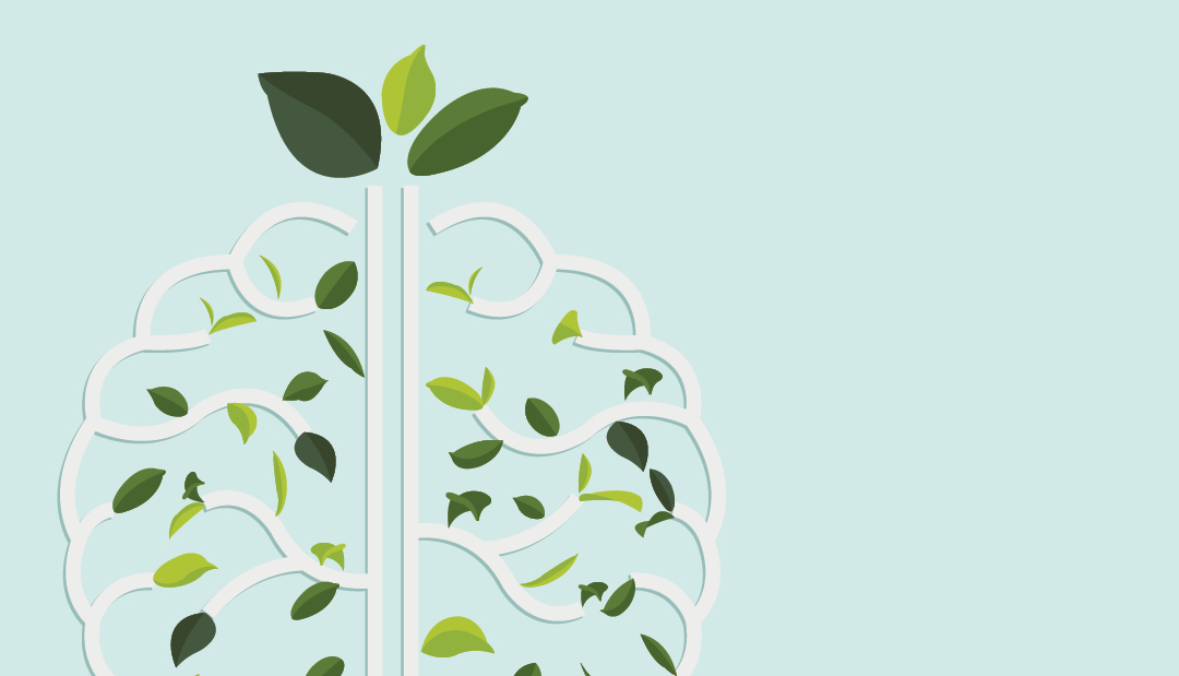 9 Ways to Boost Brain Health & Mental Wellness