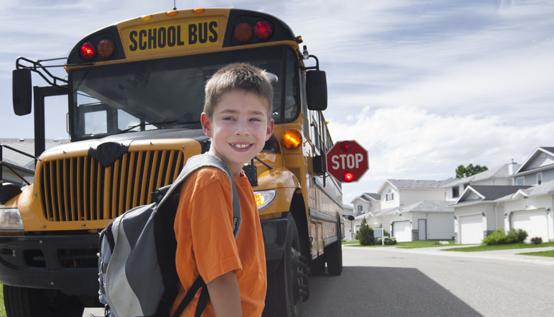 School Bus Safety